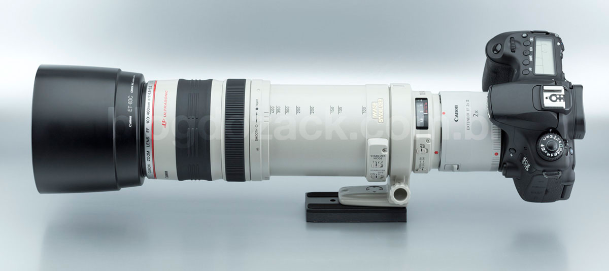 Canon EF 100-400mm f/4.5-5.6L IS USM Extender 2X III