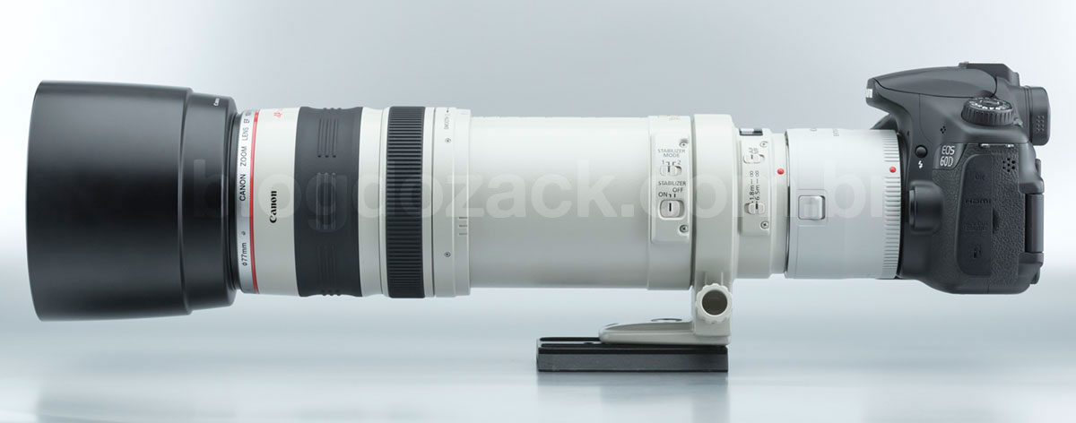 Canon EF 100-400mm f/4.5-5.6L IS USM Review