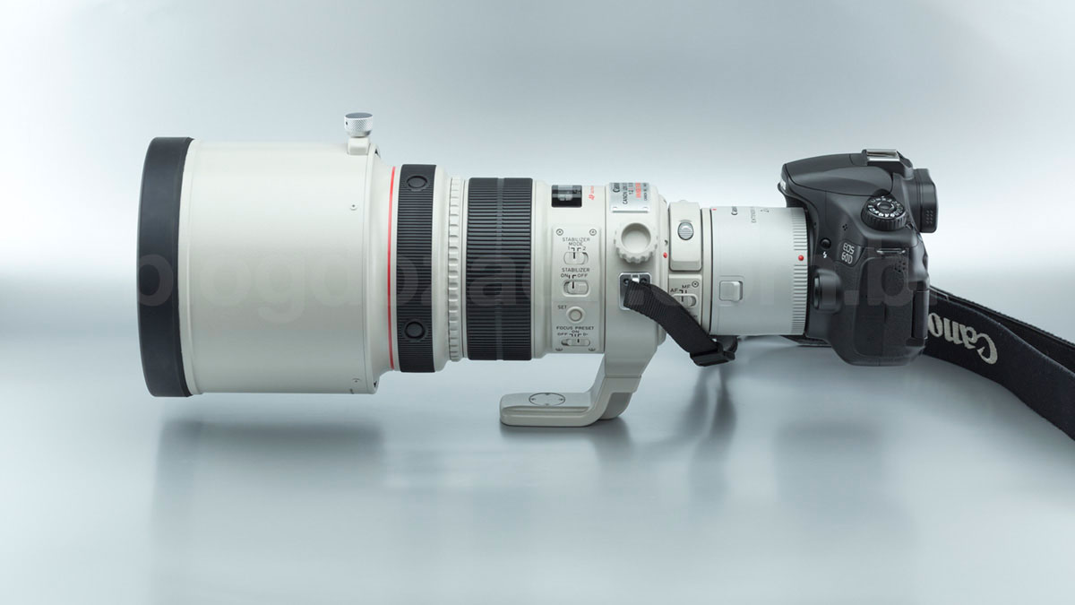 Canon EF 200mm f/2L IS USM + Extender 2X III