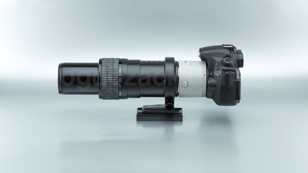 Canon MP-E 65mm f/2.8 1-5X + Extender 2X III