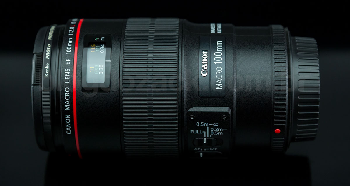 Canon EF 100mm f/2.8L IS USM Macro