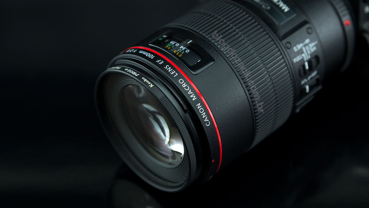 Canon EF 100mm f/2.8L IS USM Macro