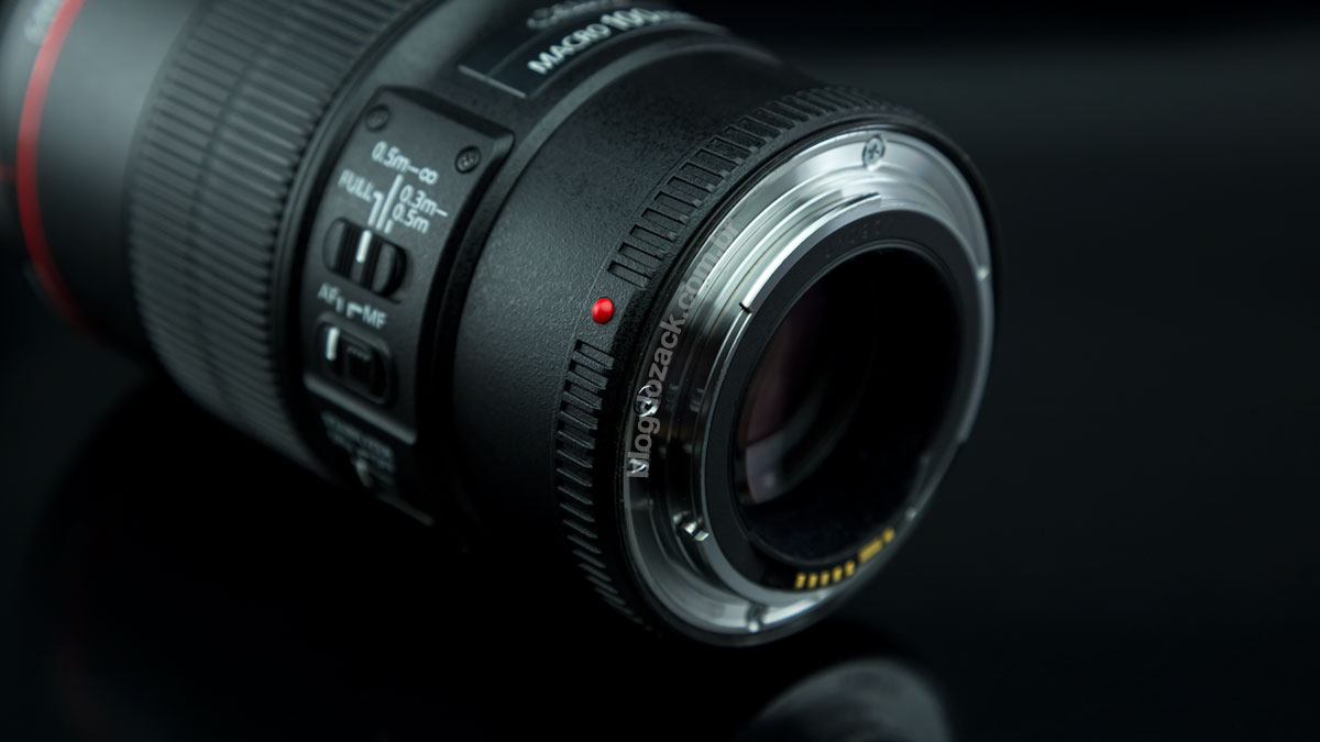 Canon EF 100mm f/2.8L IS USM Macro