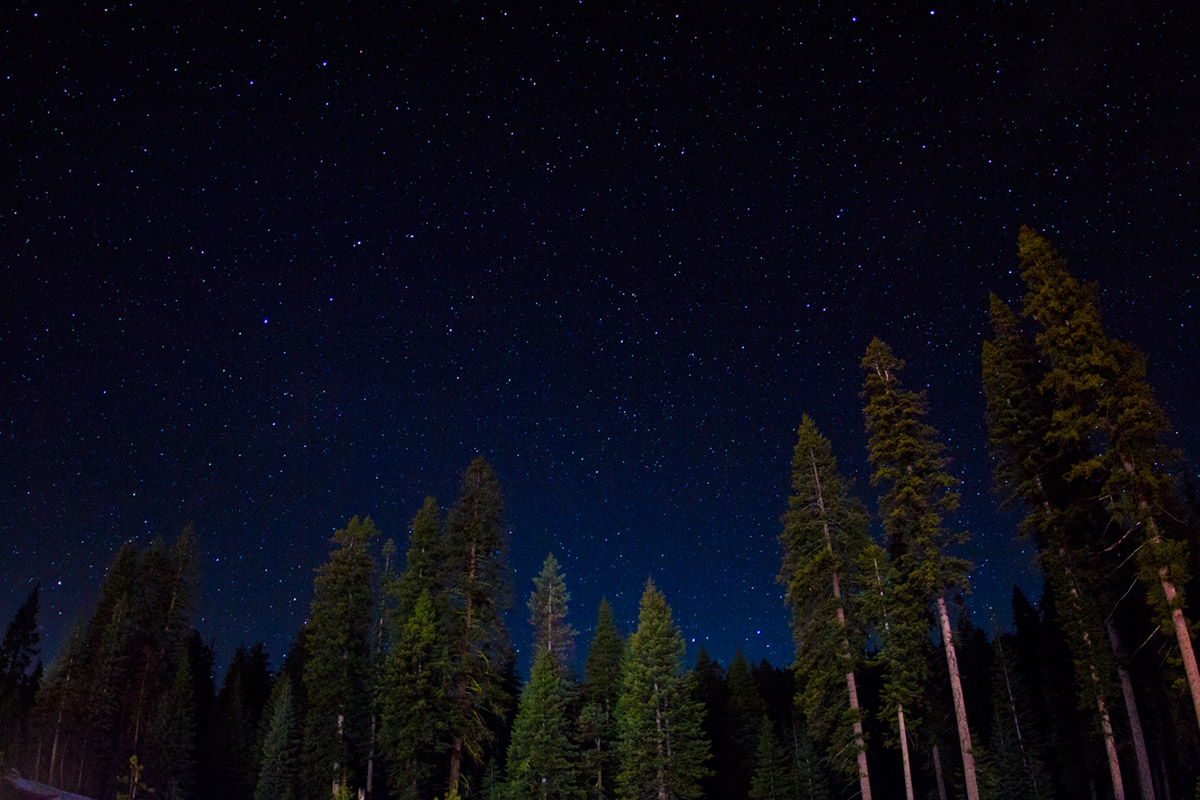“Sequoia” with the 60D at f/2.8 10” ISO800.