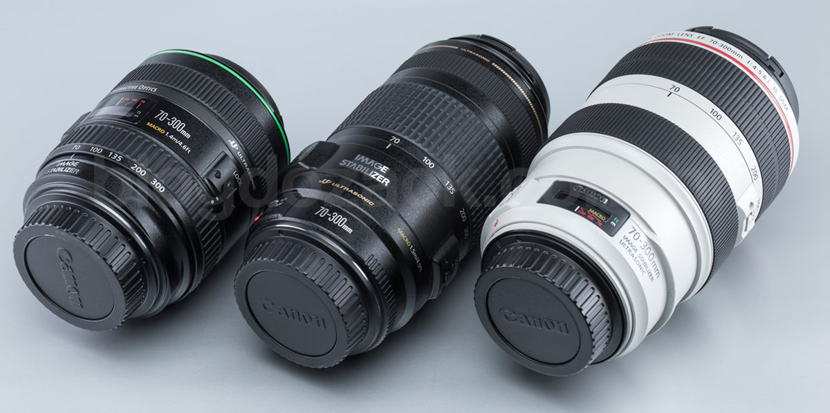 Canon EF70-300mm f4-5.6L IS USM 望遠レンズ