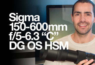 Sigma 150-600mm f/5-6.3 DG OS HSM C