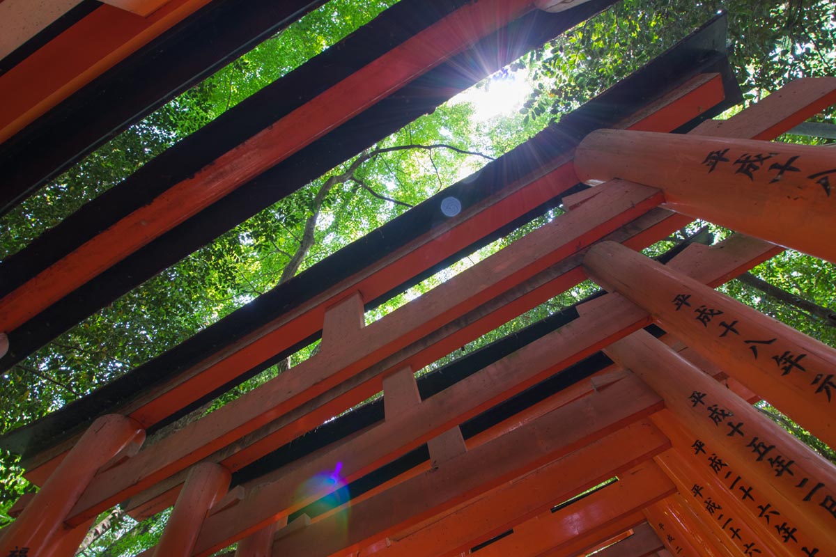“Fushimi Inari” com a Tamron 10-24mm f/3.5-4.5 Di II VC HLD em f/6.3 1/10 ISO200 @ 10mm; inclusão do sol gera flaring discretos.