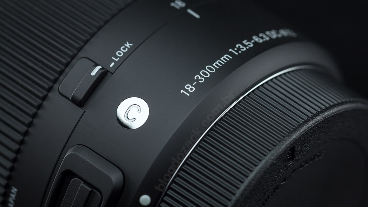 Sigma 18-300mm f/3.5-6.3 DC Macro OS HSM C Review